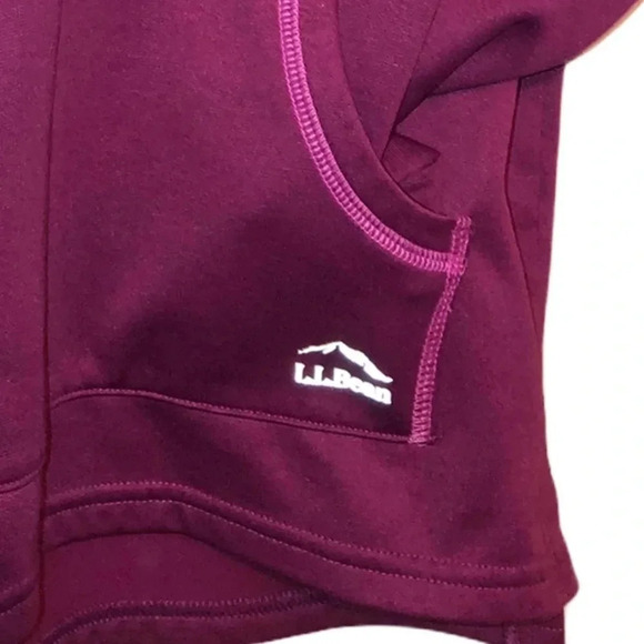 LL BEAN EUC GIRLS HOODIE SWEATSHIRT TOP SHIRT FALL WINTER  HOODED SIZE M 10 12 - Picture 2 of 5